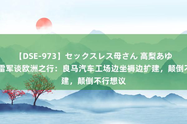 【DSE-973】セックスレス母さん 高梨あゆみ 小米雷军谈欧洲之行：良马汽车工场边坐褥边扩建，颠倒不行想议