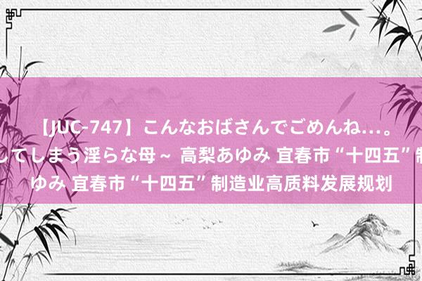 【JUC-747】こんなおばさんでごめんね…。～童貞チ○ポに発情してしまう淫らな母～ 高梨あゆみ 宜春市“十四五”制造业高质料发展规划