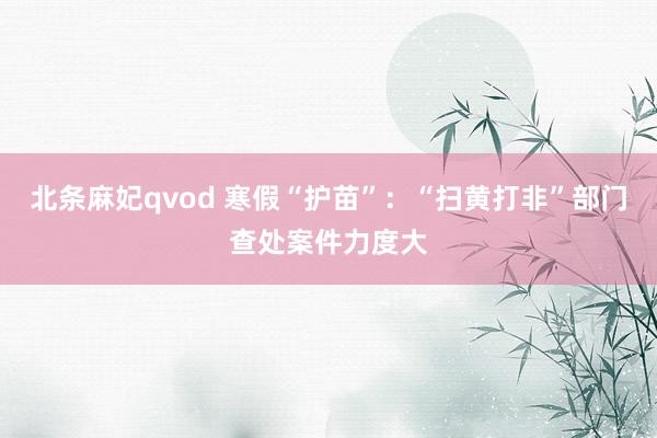 北条麻妃qvod 寒假“护苗”：“扫黄打非”部门查处案件力度大