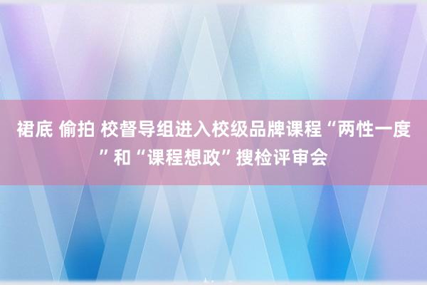 裙底 偷拍 校督导组进入校级品牌课程“两性一度”和“课程想政”搜检评审会