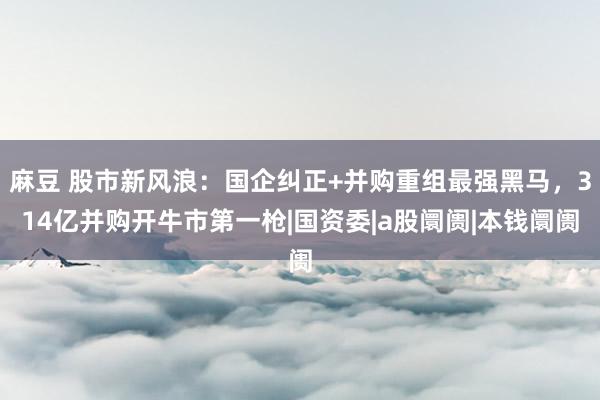 麻豆 股市新风浪：国企纠正+并购重组最强黑马，314亿并购开牛市第一枪|国资委|a股阛阓|本钱阛阓