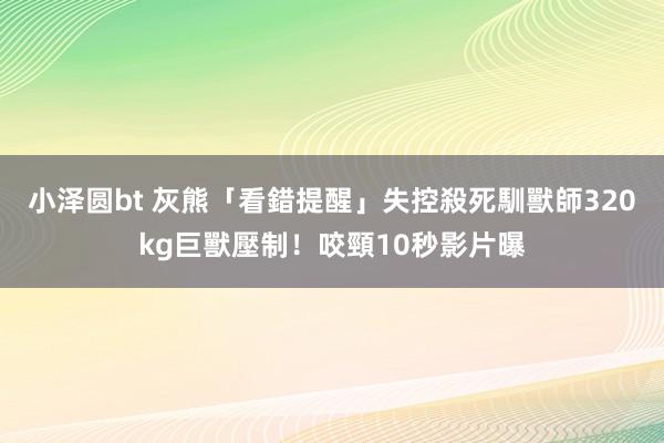 小泽圆bt 灰熊「看錯提醒」失控殺死馴獸師　320kg巨獸壓制！咬頸10秒影片曝