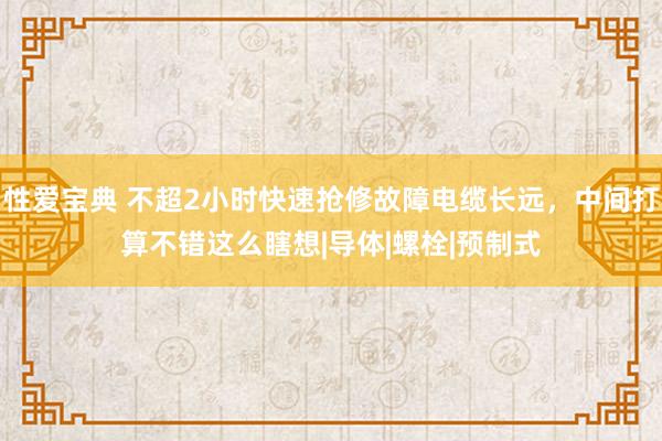 性爱宝典 不超2小时快速抢修故障电缆长远，中间打算不错这么瞎想|导体|螺栓|预制式