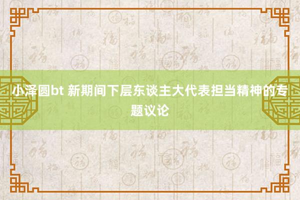 小泽圆bt 新期间下层东谈主大代表担当精神的专题议论