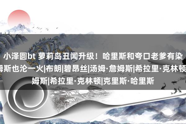 小泽圆bt 萝莉岛丑闻升级！哈里斯和夸口老爹有染？希拉里、詹姆斯也沦一火|布朗|碧昂丝|汤姆·詹姆斯|希拉里·克林顿|克里斯·哈里斯