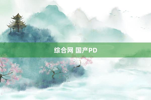 综合网 国产PD