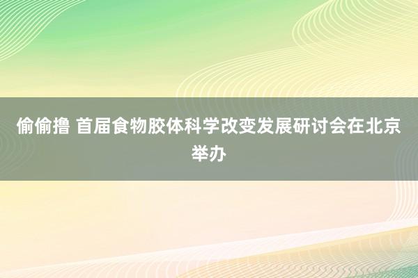 偷偷撸 首届食物胶体科学改变发展研讨会在北京举办