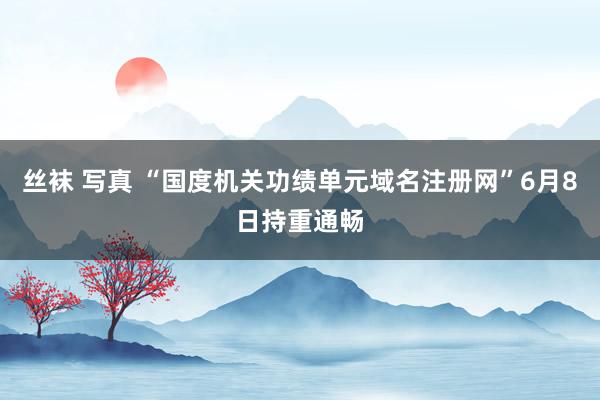 丝袜 写真 “国度机关功绩单元域名注册网”6月8日持重通畅