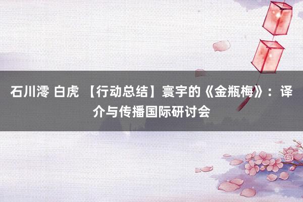 石川澪 白虎 【行动总结】寰宇的《金瓶梅》：译介与传播国际研讨会