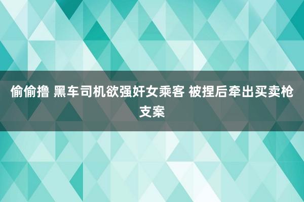 偷偷撸 黑车司机欲强奸女乘客 被捏后牵出买卖枪支案