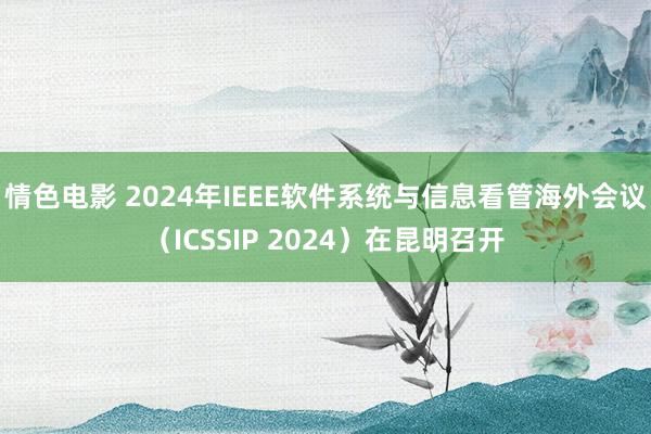 情色电影 2024年IEEE软件系统与信息看管海外会议（ICSSIP 2024）在昆明召开